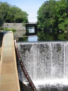 newmarket_fishladder1